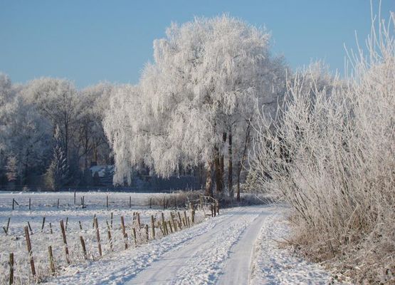 Umgebung [Winter] (1-5 km)