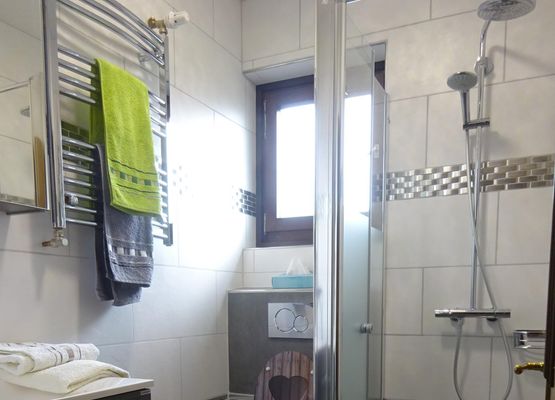 Badezimmer mit Toilette, Dusche und Waschbecken