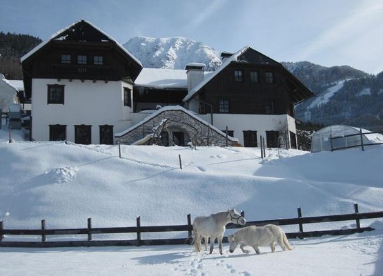 Ortsansicht vom Landhaus Seebacher im Winter