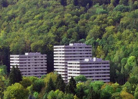 Appartement Waldoase - App. Reitzig