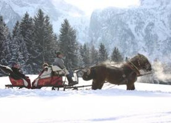 Pferdekutschenfahrten im Winter